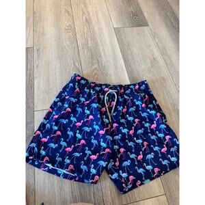 Vintage Summer Flamingo Blue and Pink Swim Trunks Large